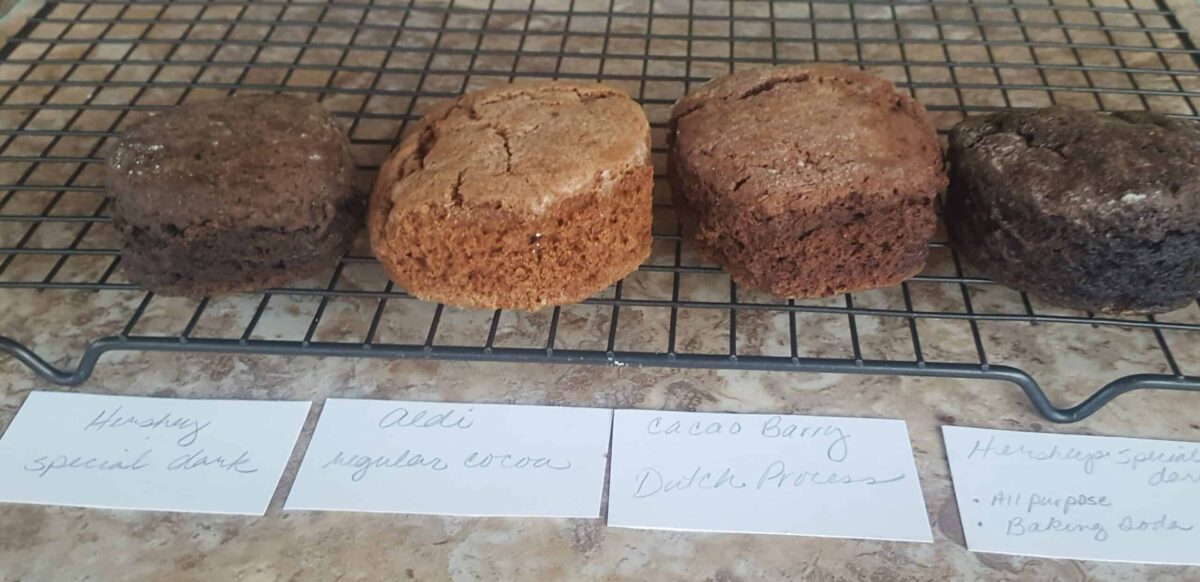 Four biscuits using four different cocoa powders. Showing the different colors and how they reacted to leavening.