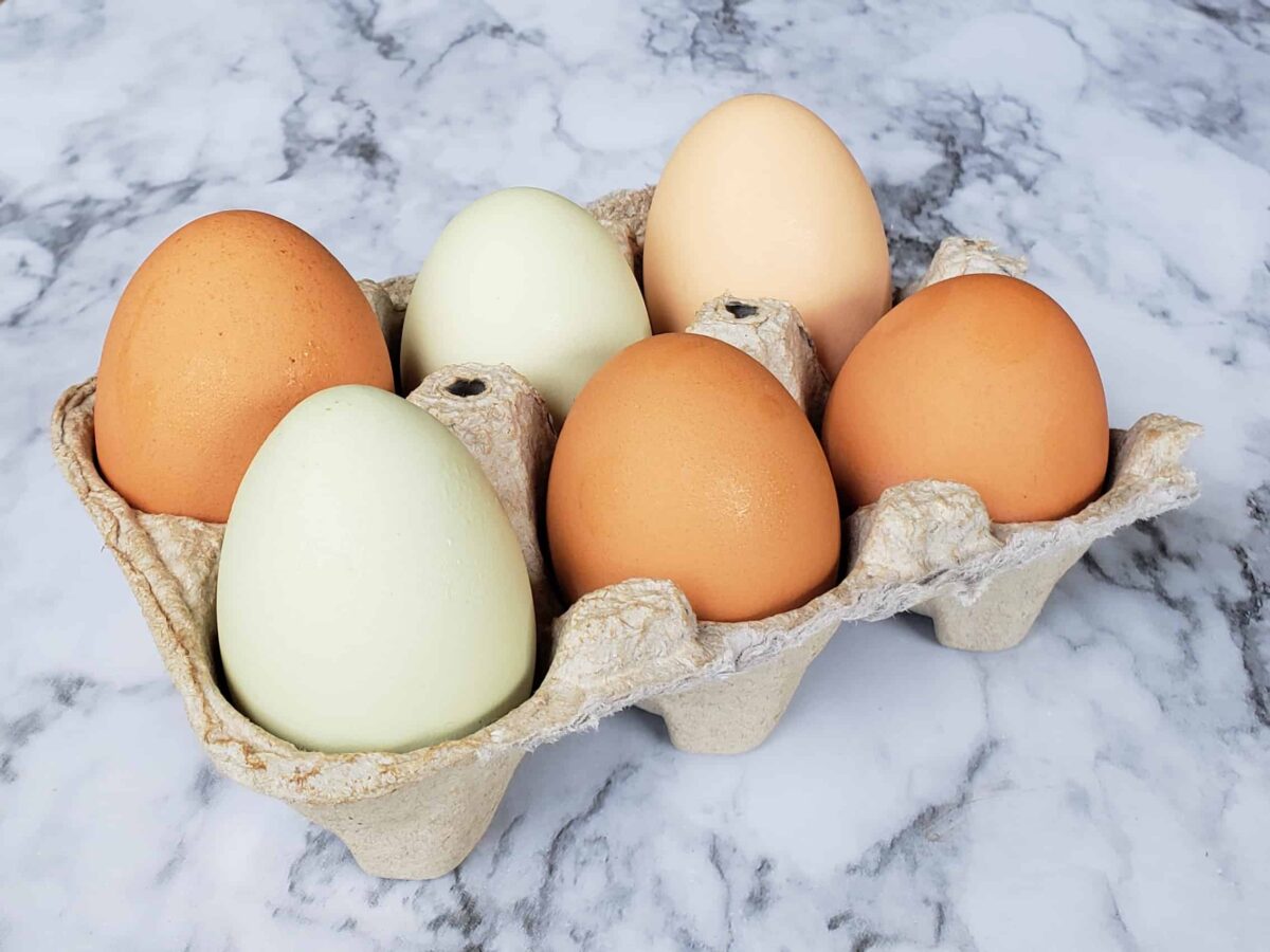 six farm eggs in a carton on marble surface