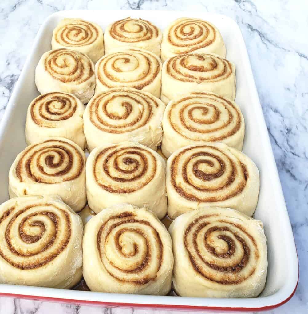 Cinnamon Rolls risen in baking dish