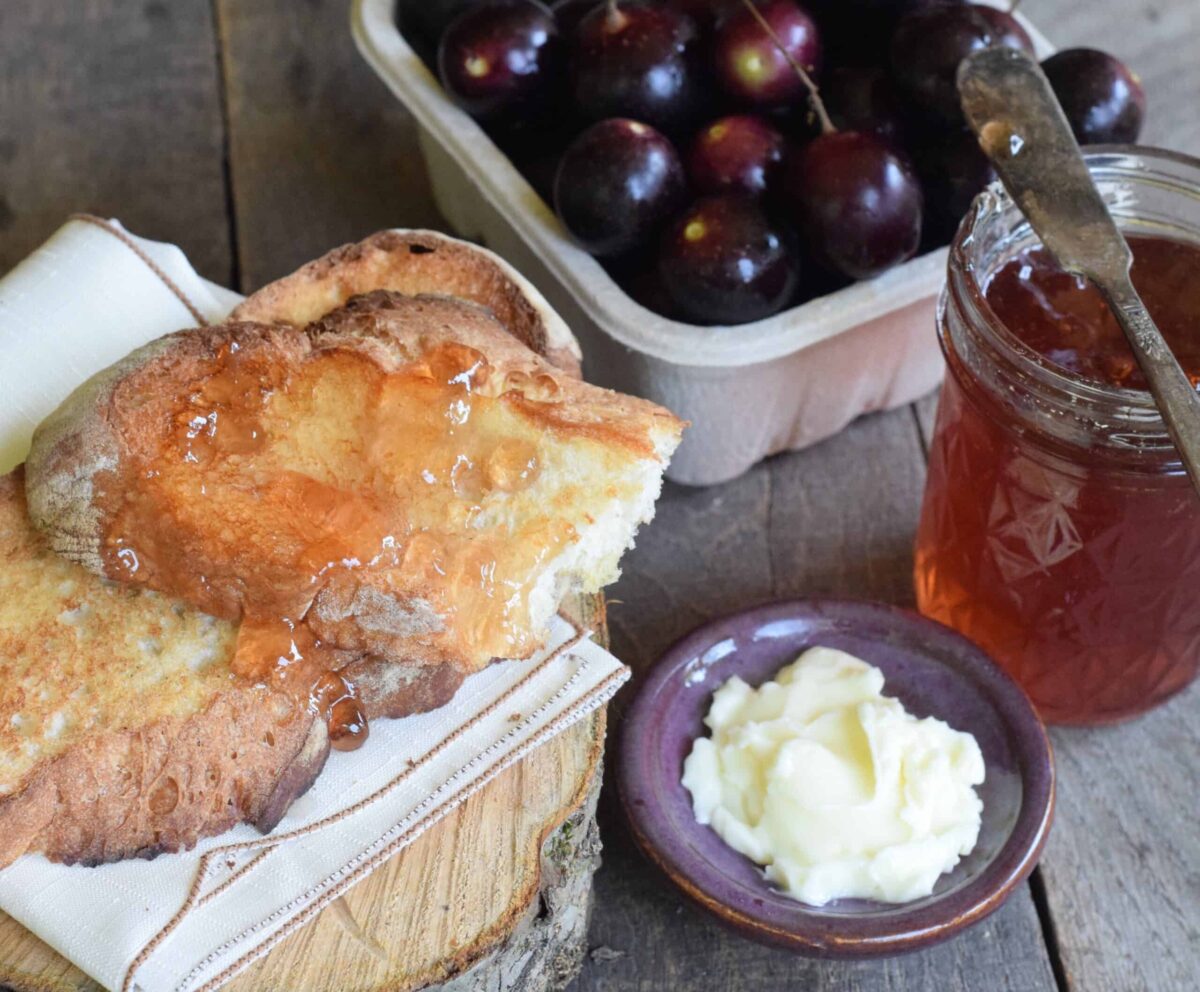 scuppernon jelly spread on toast with homemade butter and carton of musdadines