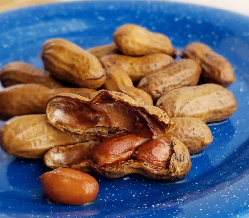 Boiled peanuts made in the Instant Pot, cracked open on a blue tin plate