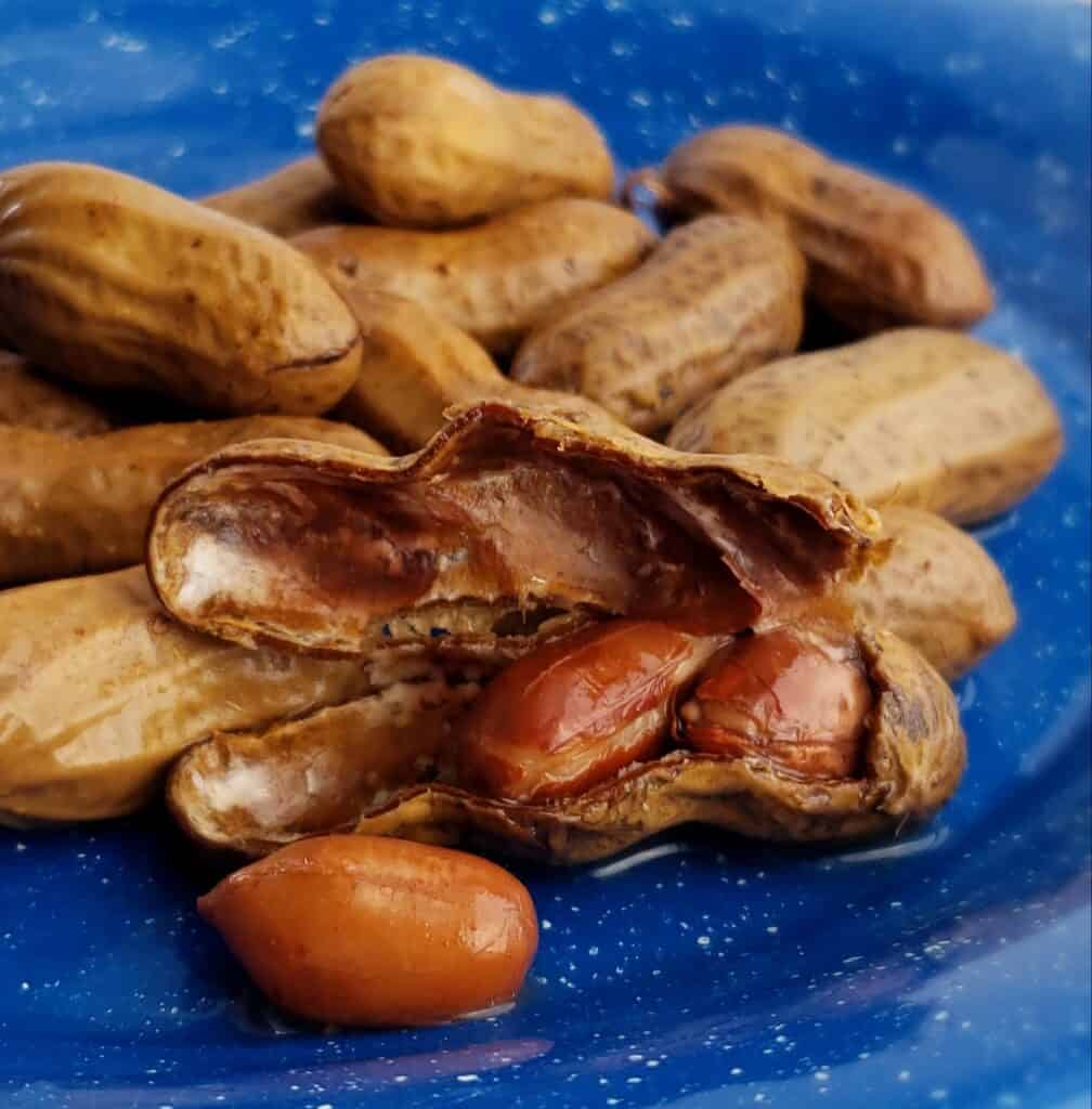 Instant Pot Boiled Peanuts: Plain or Cajun. No need to cook on the stovetop for hours when you can cook them in the Instant Pot