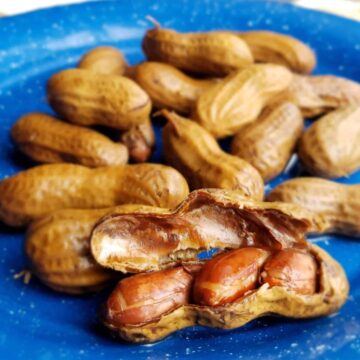Boiled peanuts made in the Instant Pot, cracked open on a blue tin plate