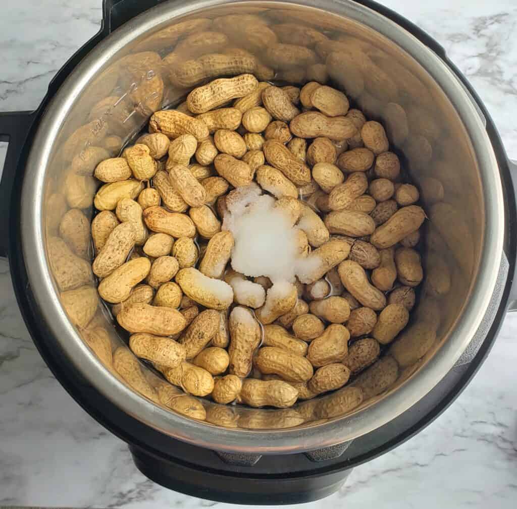 one pound raw peanuts 1/4 cup salt and 6 cups water in an Instant Pot