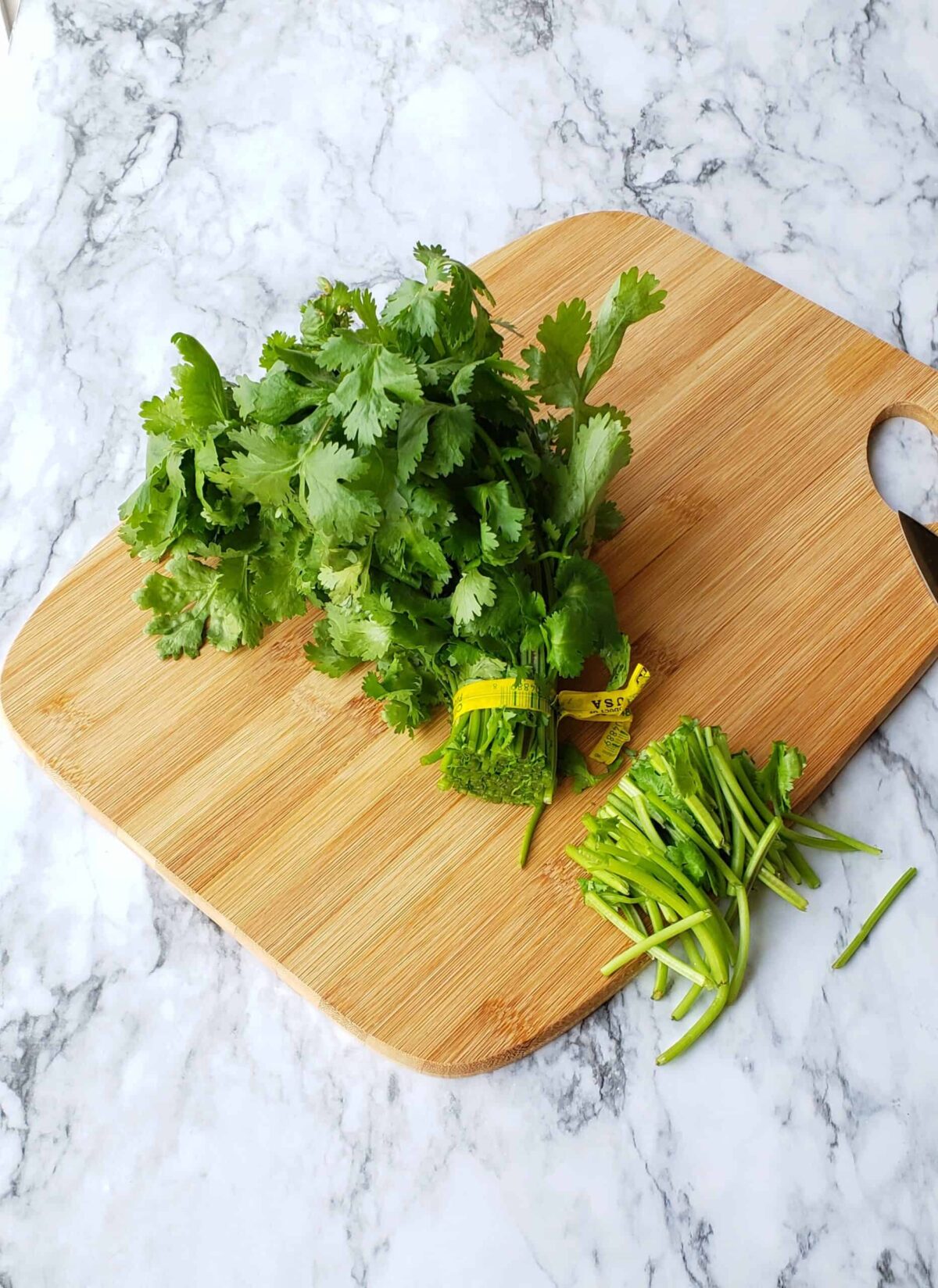  cut off cilantro stems from the plant. Wooden cutting board on marble surface