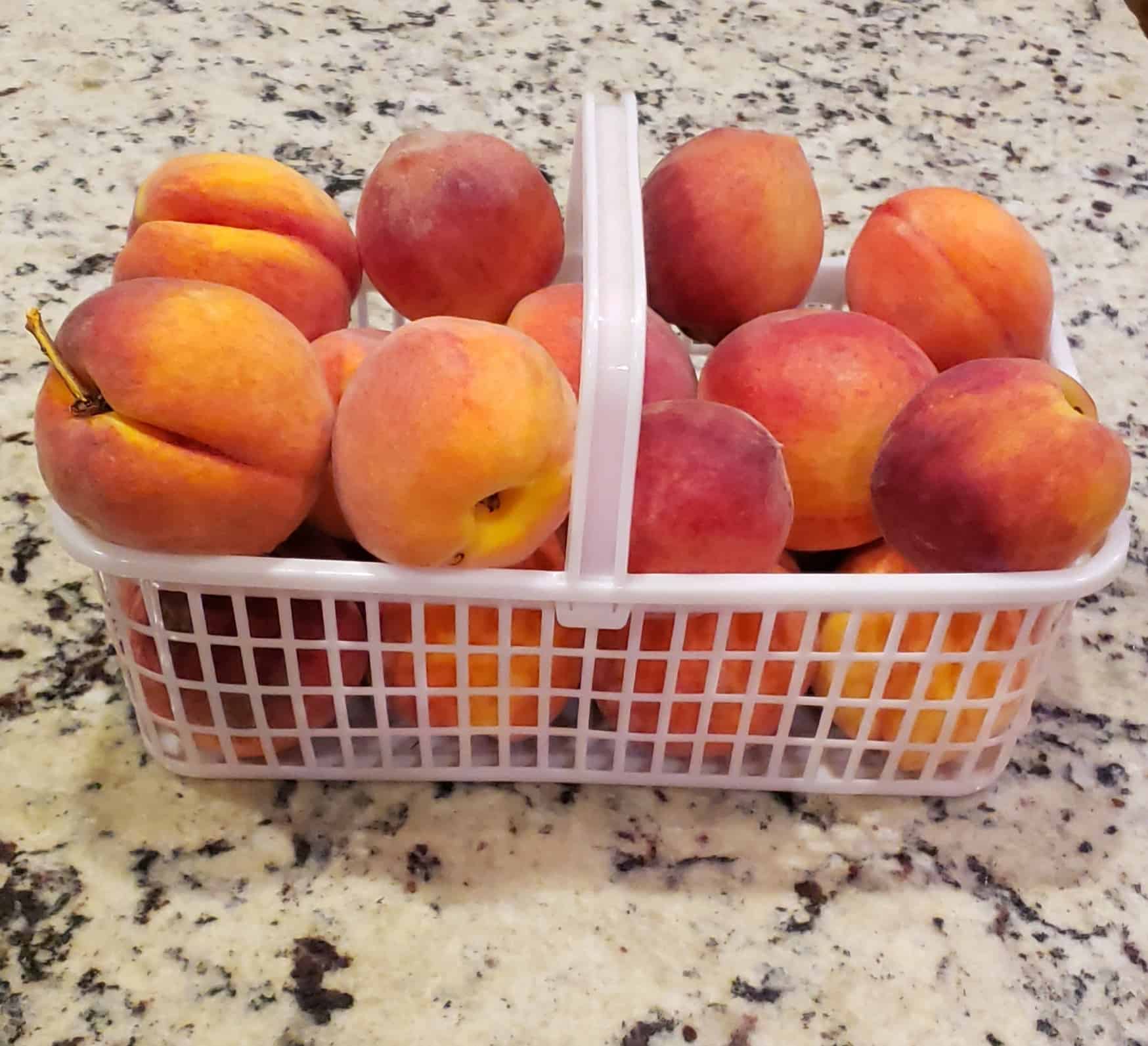 A white basket of peaches ready for cobbler making!