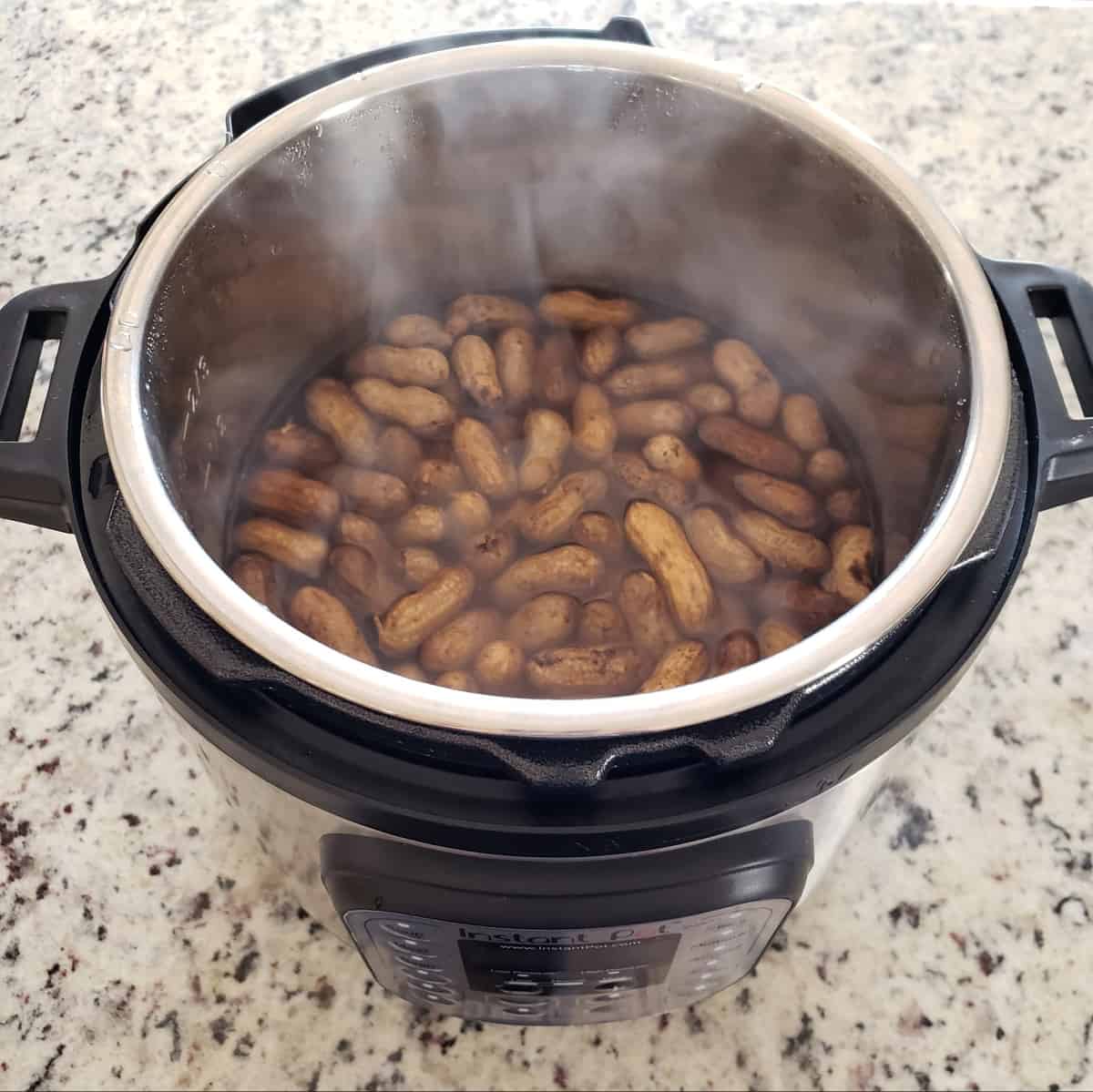 Cooked peanuts in the shell in an Instant Pot.
