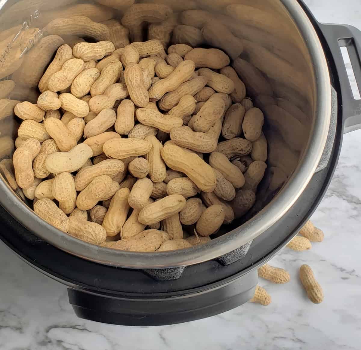 Peanuts in the shell inside an Instant Pot