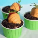 strawberries coated in orange chocolate stuck in green paper cups of chocolate pudding