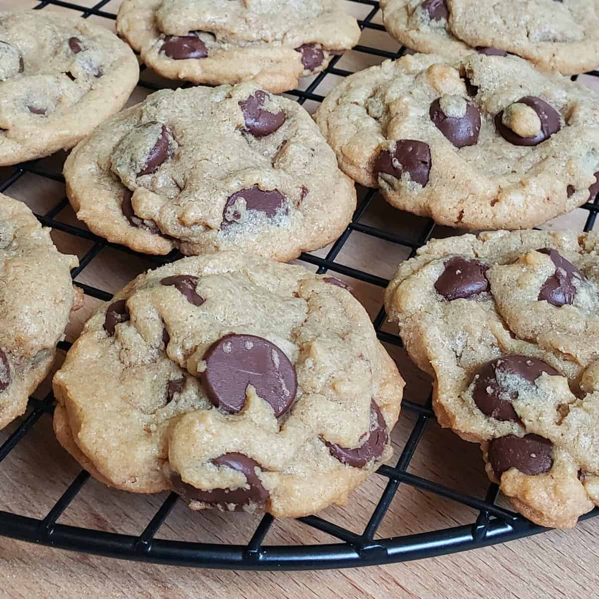 chocolate chip cookies on black wire rack