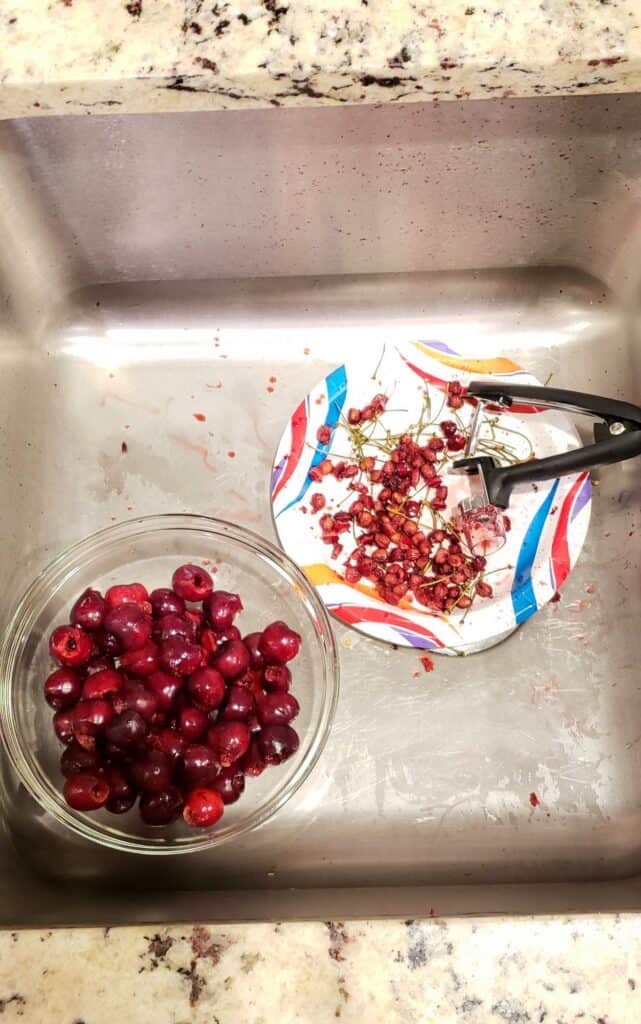 bowl of pitted cherries and paper plate of pits in a sink