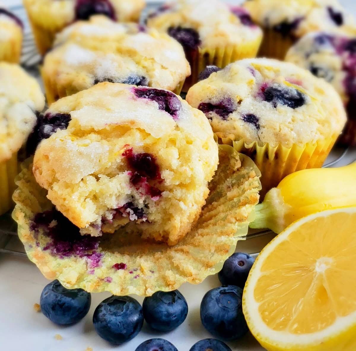 Bite out of lemon blueberry squash muffins with fresh blueberries on surface.
