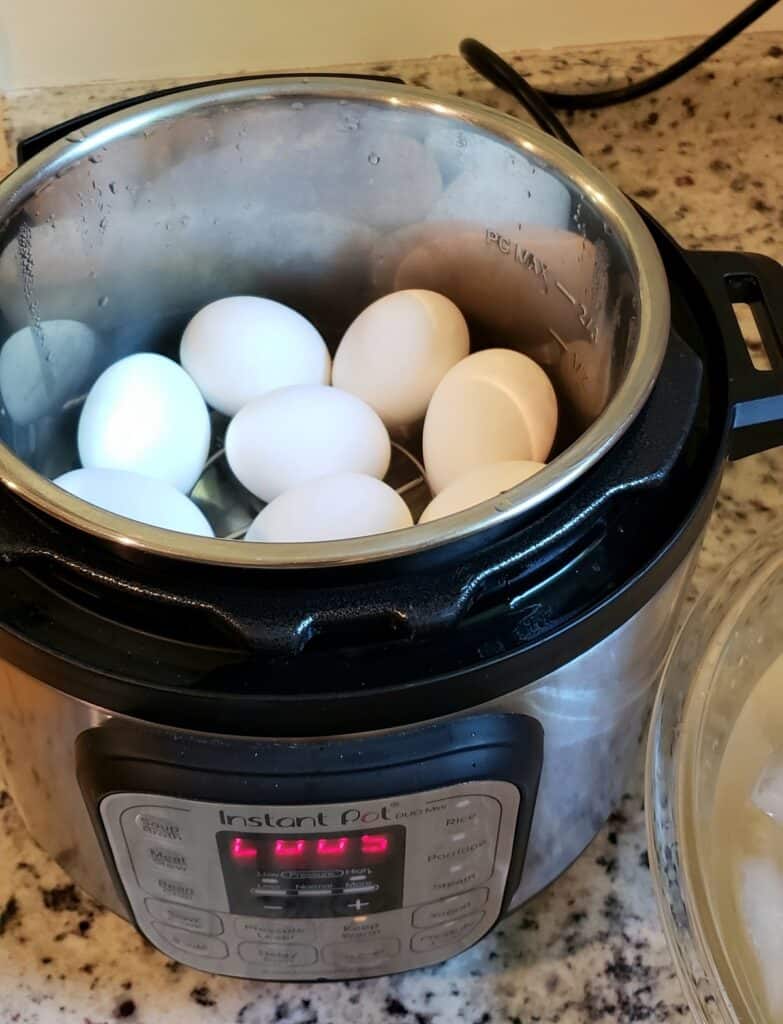 Eggs inside an Instant Pot
