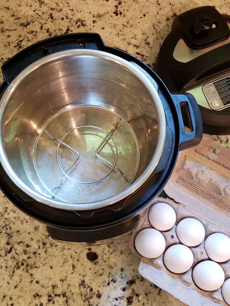 Open Instant Pot overhead view with eggs in a carton to the size