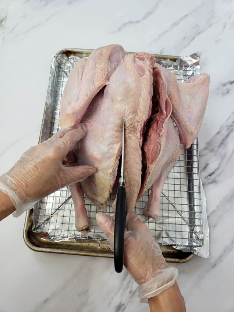 Gloved hands cutting backbone out of raw turkey with kitchen shears.