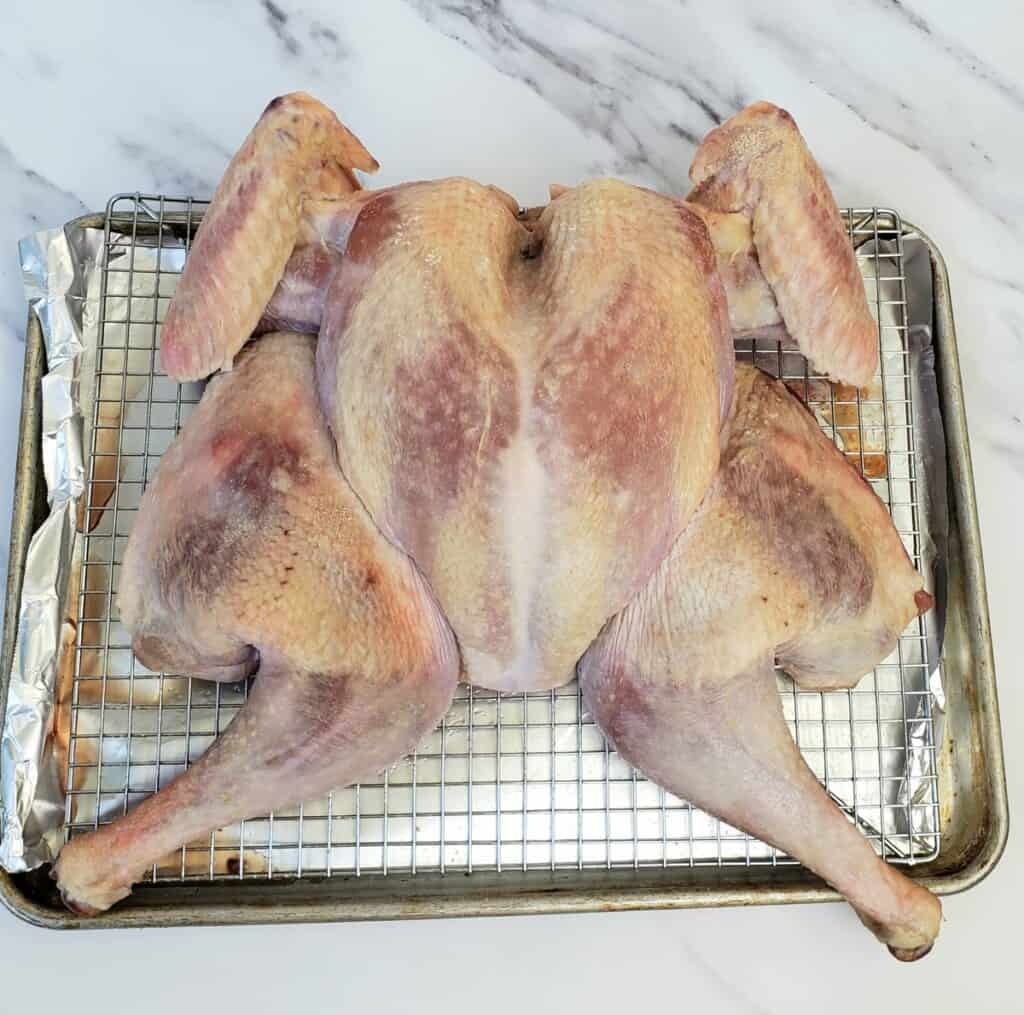 Flattened turkey on a rack that looks bruised.