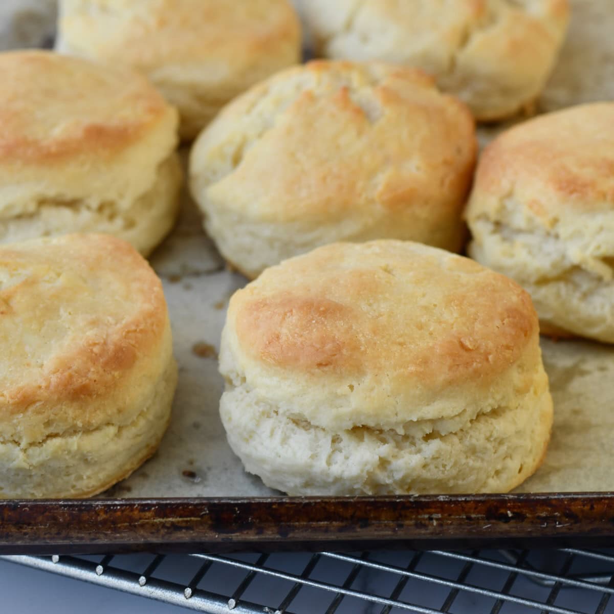 Two ingredient biscuits baked on a parchment paper lined baking sheet.