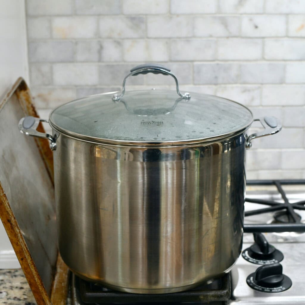 big pot of water boiling on stovetop.