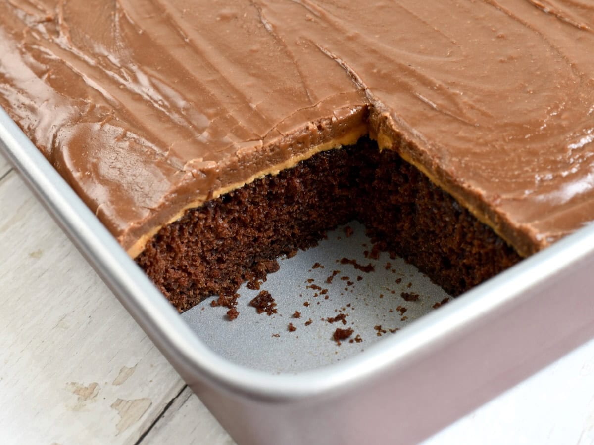 Close-up of a 9x13 pan of chocolate peanut butter cake with a corner slice missing