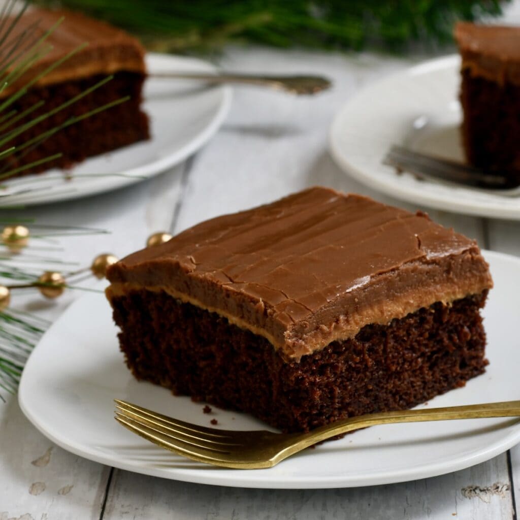 Square slice of chocolate peanut butter cake on a white plate