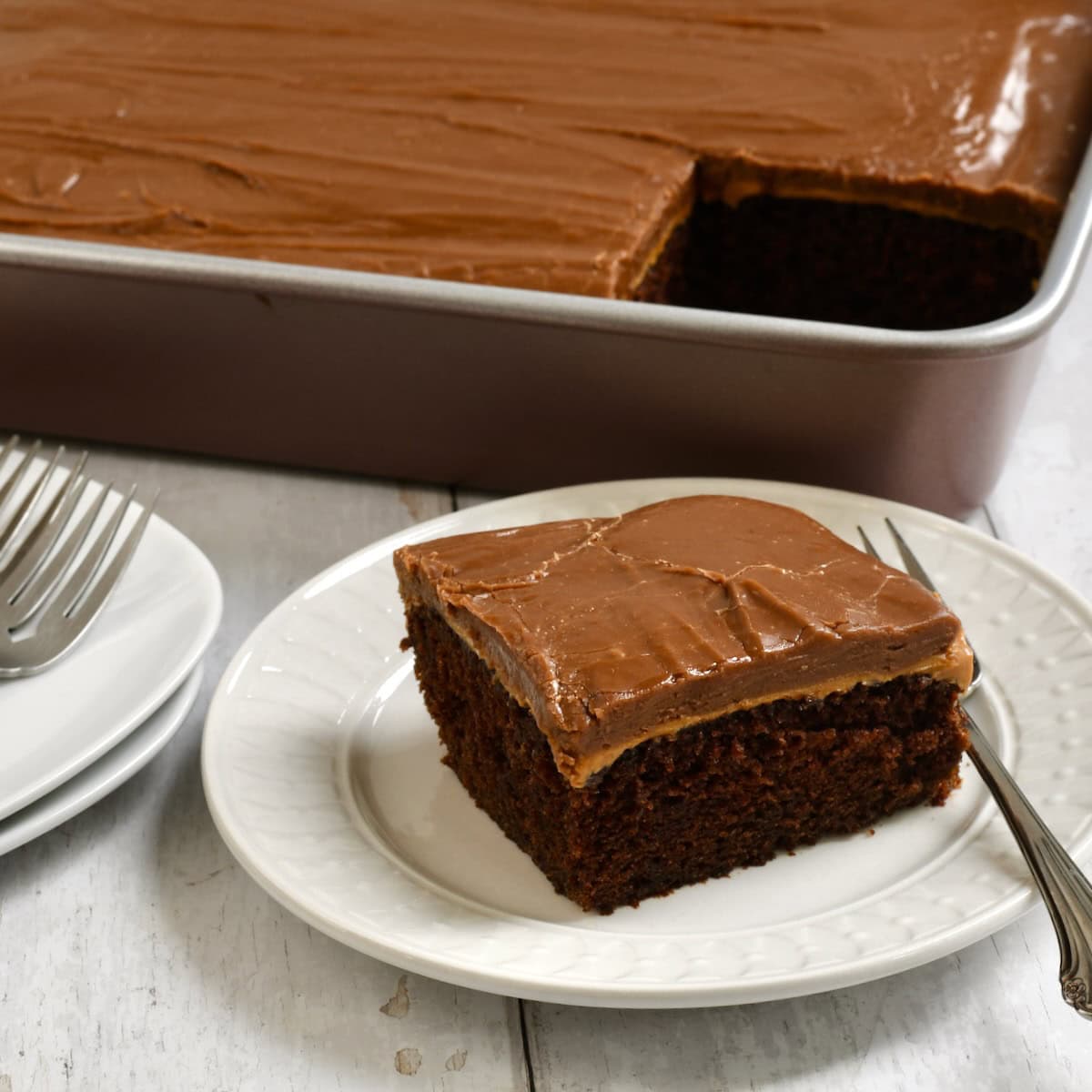 Slice of chocolate peanut butter cake on a plate in front of a 9x13 pan 