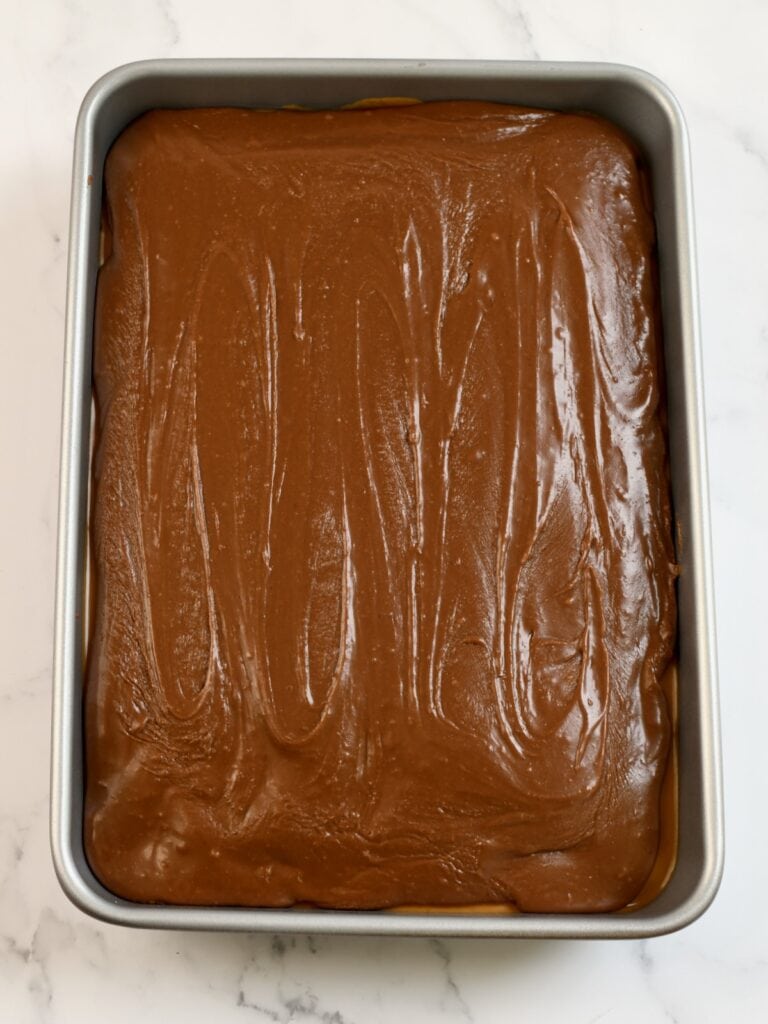 Chocolate peanut butter cake in a 9x13 pan topped with chocolate frosting