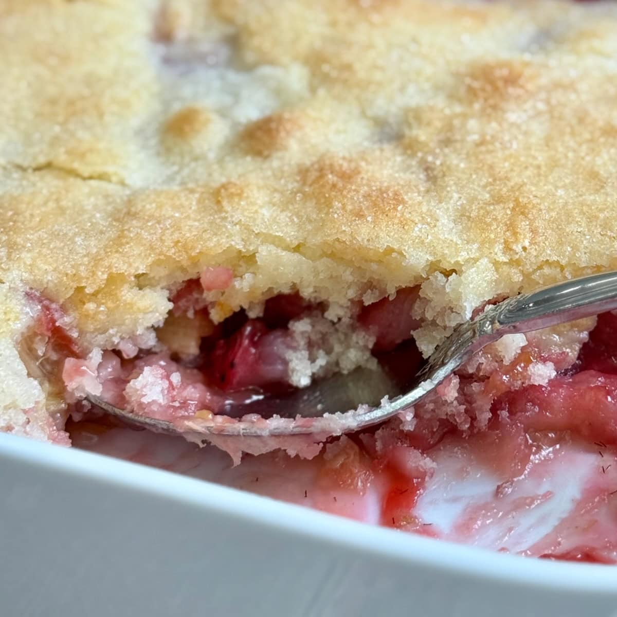 Side view of strawberry rhubarb cobbler in a baking dish to show layers.