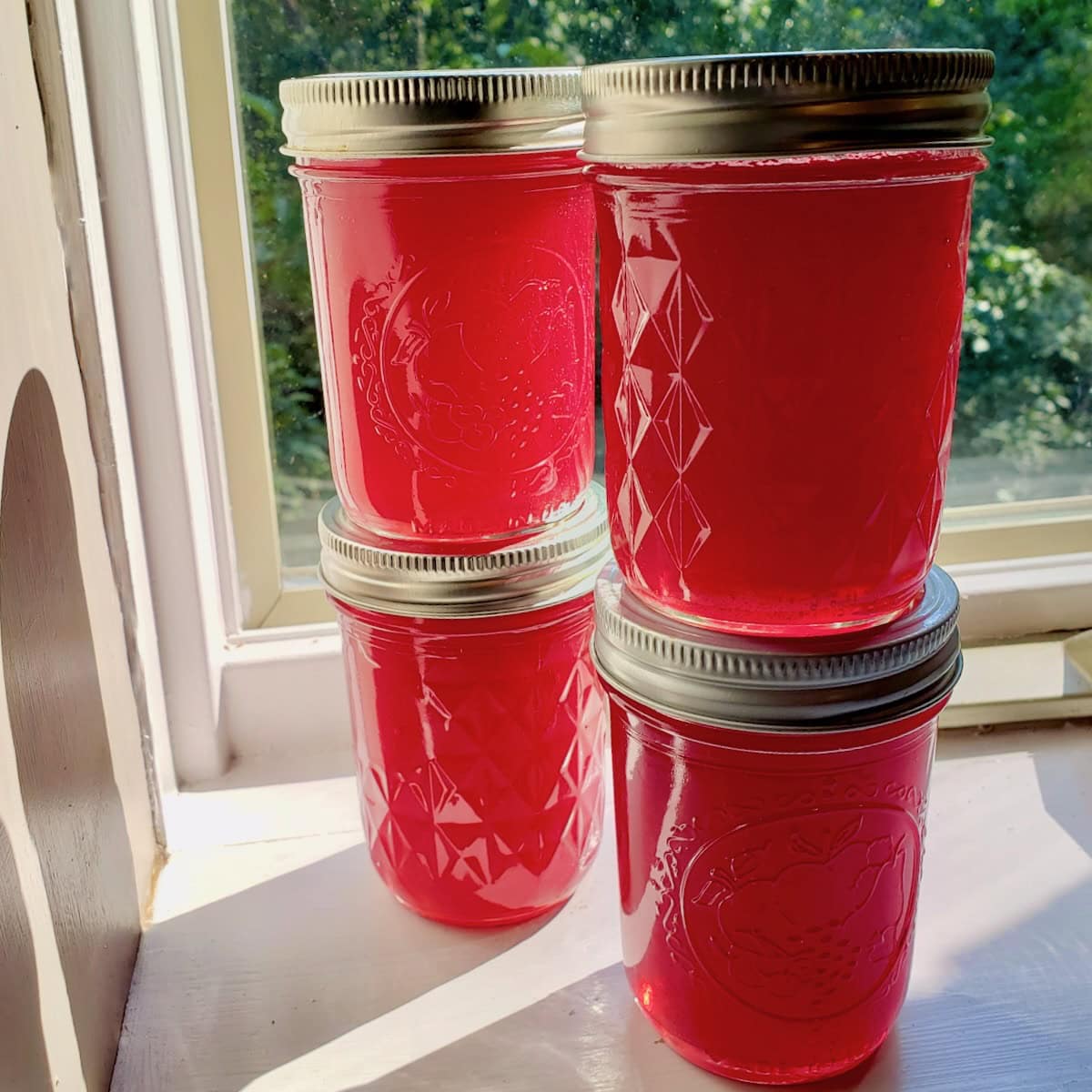 Side view of four jars of muscadine jelly stacked on top of each other.